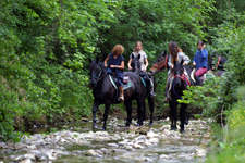Italy-Tuscany-Relaxed Tuscan Ride in Maremma